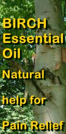 Ormus Minerals Birch Healing Ormus Oil
