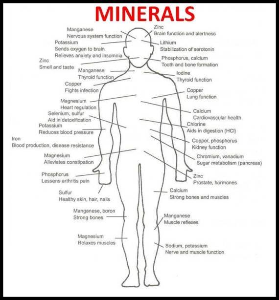 Inner Grounding Minerals