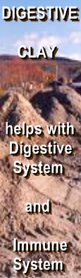 Ormus Minerals Digestive Clay with Fulvic Acid Minerals helps digestive immune systems