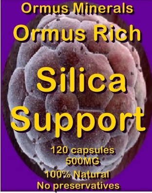 Ormus Minerals Ormus Rich Silica Support capsules