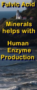 Ormus Minerals Fulvic Acid Minerals help with Human Enzyme Productions