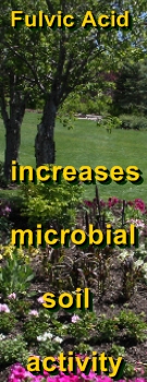 Ormus Minerals - Fulvic Acid increases microbial activity