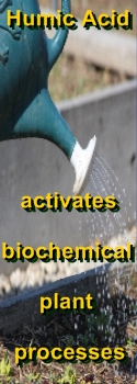Ormus Minerals Liquid Humic activates biochemical plant processes