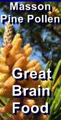 Ormus Minerals - Masson Pine Pollen great brain food