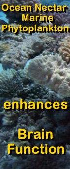 Ormus Minerals Ocean Nectar Marine Phytoplankton enhances Brain Function