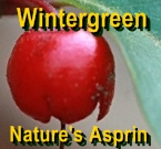 Ormus Minerals Magnesium & Essential Oils for Headache Pain Relief - Wintergreen